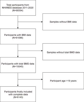 Saturation Effect of Body Mass Index on Bone Mineral Density in Adolescents of Different Ages: A Population-Based Study